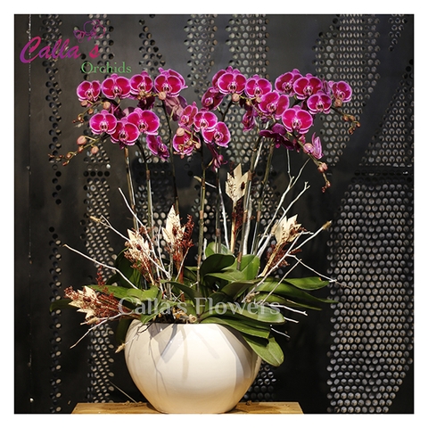 Hoa sinh nhật-TT-007-La
