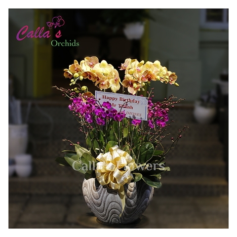 Hoa sinh nhật-TT-012-Mix