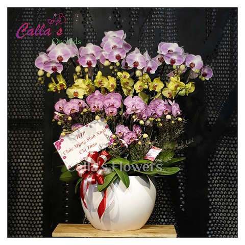 Hoa Sinh Nhật-TT-015-Mix