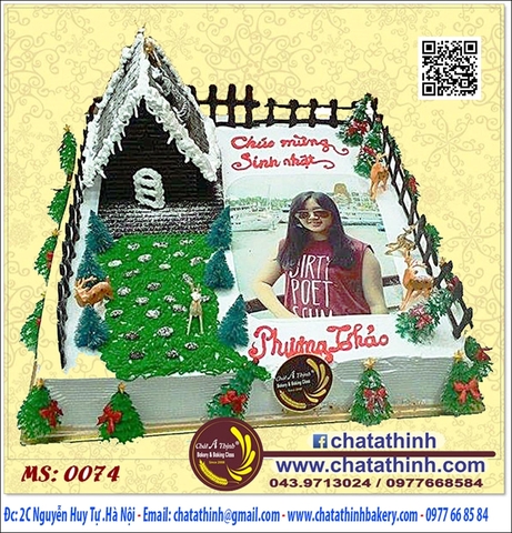 Bánh sinh nhật mùa noel - 0074