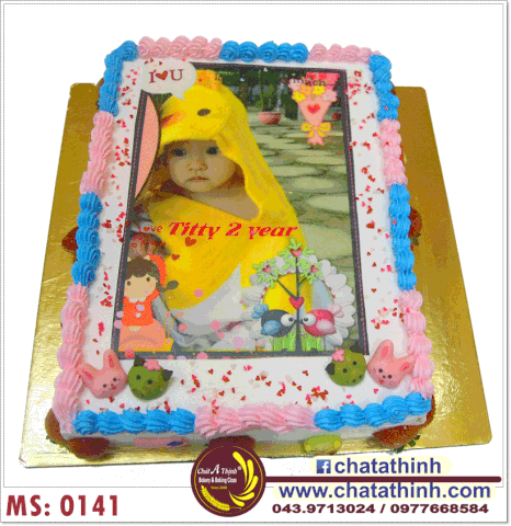 Bánh sinh nhật - 0141