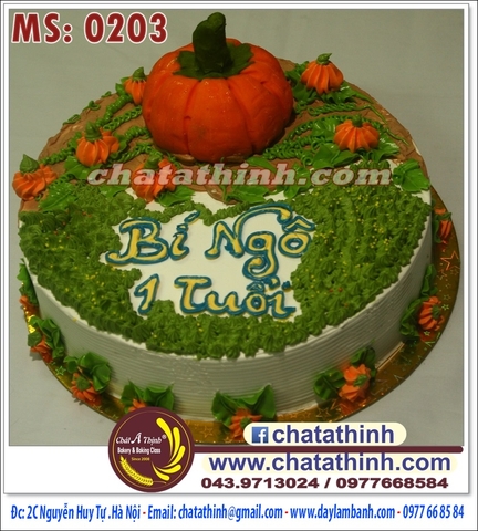 Bánh bí ngô - 0203