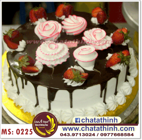 Socola hoa hồng - 0225
