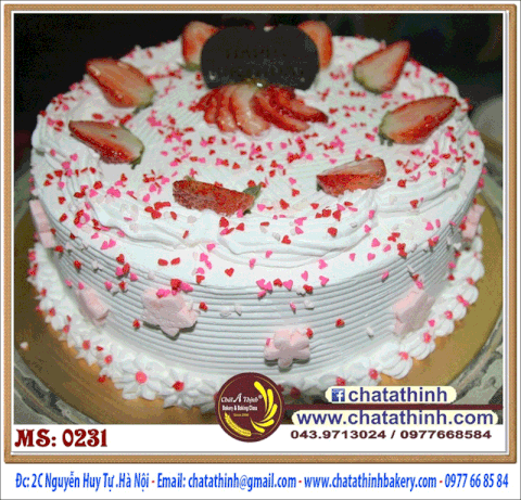 Bánh sinh nhật - 0231