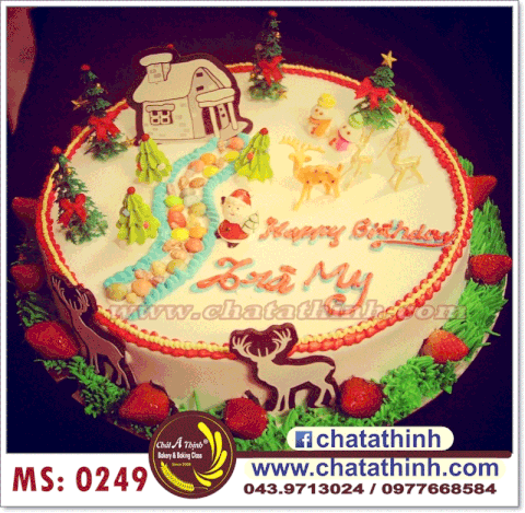 Bánh sinh nhật - 0249