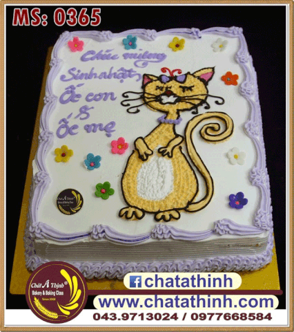 Mèo béo xinh đẹp - 0365