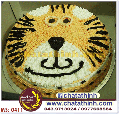 Chú hổ con - 0411