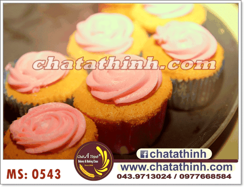 Bánh sinh nhật - 0543