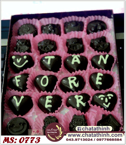 Socola tạo hình - 0773