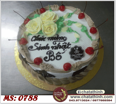 Mừng sinh nhật bố - 0788
