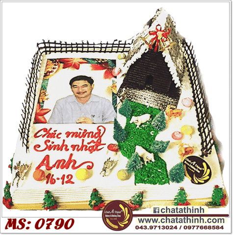 Giáng sinh - Sinh nhật - 0790