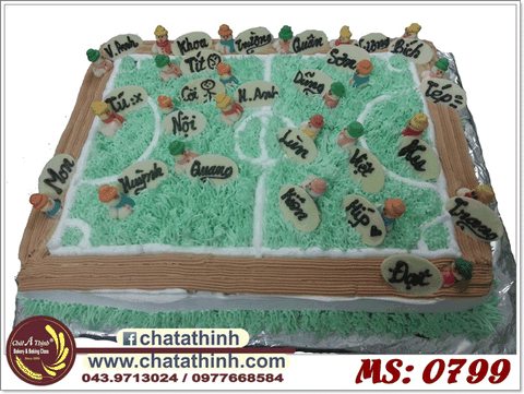 Sân bóng mini - 0799