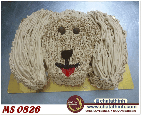 Poodie xinh xắn - 0826