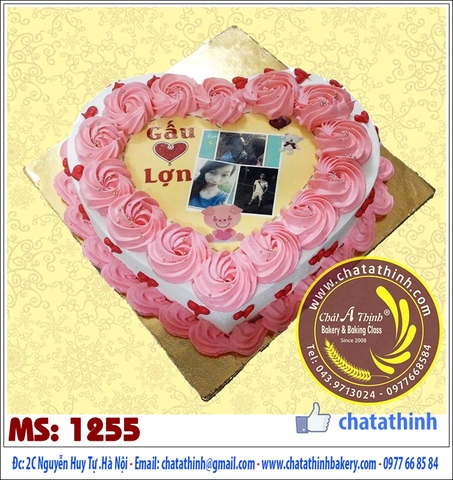 Gấu yêu lợn - 1255