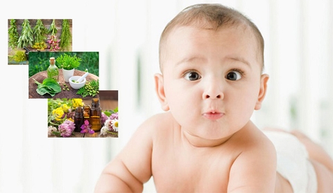 thảo dược cho bé tốt nhất, an toàn, uy tín tại Gia Viễn Ninh Bình