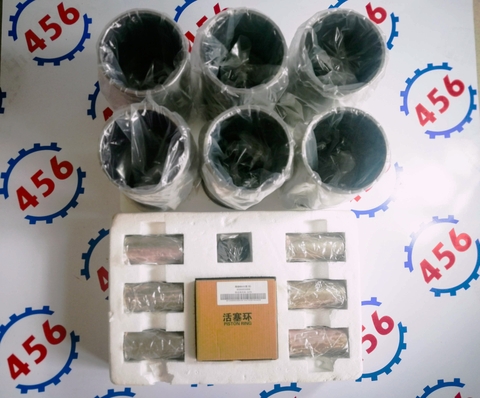 Bộ hơi WD10G220E23