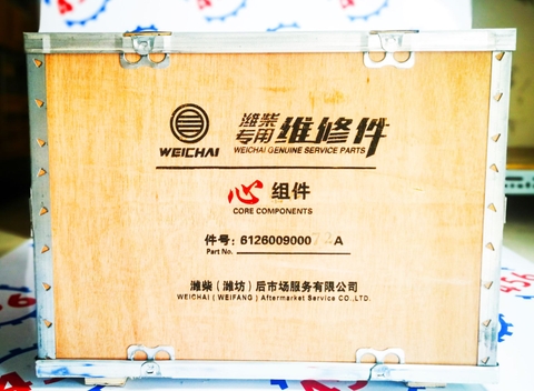 Bộ hơi WD10G220E23