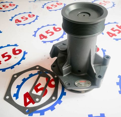 Bơm nước WD10G220E23