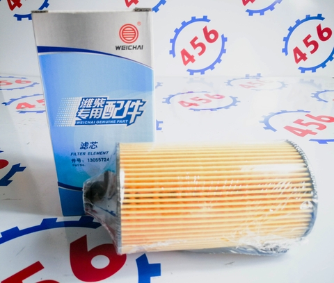 Lọc nhớt WP6G125E23