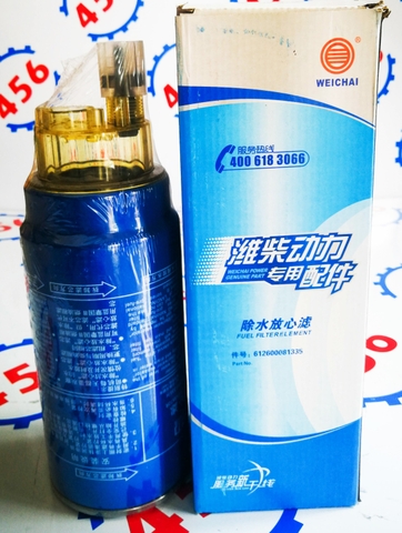 Lọc diesel thô WD10G220E21