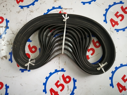 Dây curoa 10PK1334 WD10