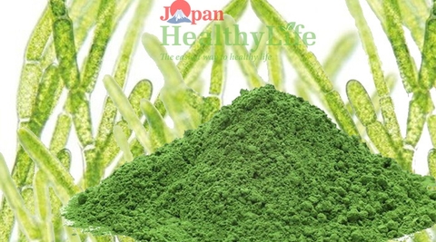 5 lợi ích ấn tượng của tảo lục Chlorella