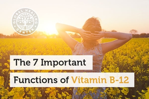7 chức năng quan trọng của vitamin B12