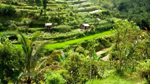 Một số mô hình canh tác nông nghiệp bền vững
