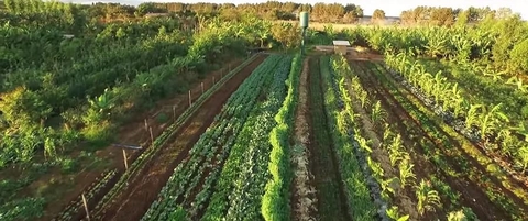 Thế nào là phát triển bền vững trong Nông nghiệp  (Phần 1) ?