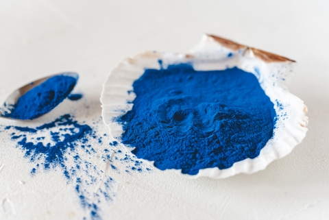 Sự độc đáo của Blue Spirulina khiến giá của nó đắt gấp mấy chục lần so với tảo spirulina thông thường