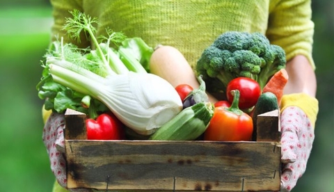 Những bộ đôi chữa lành tuyến giáp dễ dàng mang theo