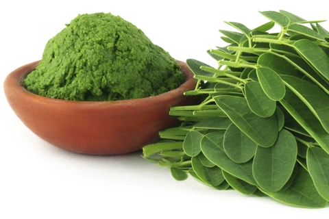 Moringa để giảm cân: Nó hoạt động như thế nào?