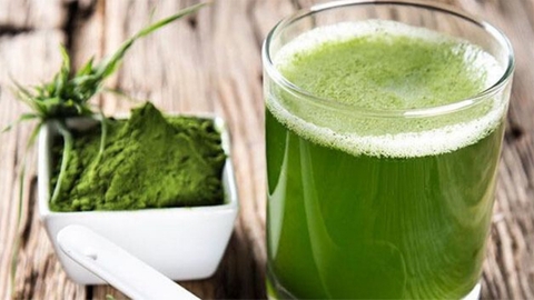 Tác dụng của bột nước ép cỏ lúa mì với sức khỏe dưới góc độ khoa học