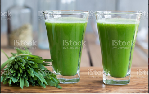Sự Khác Nhau Giữa Bột Nước Ép Cỏ Lúa Mì Và Bột Lúa Mì Raw