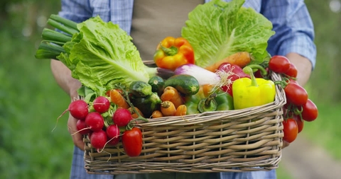 Làm thế nào để một chế độ ăn uống dựa trên thực vật có thể tăng cường sức khỏe của bạn