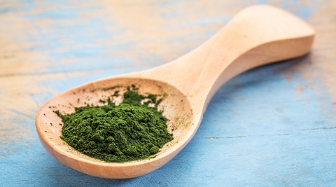 Chlorella là một chất khử độc tuyệt vời