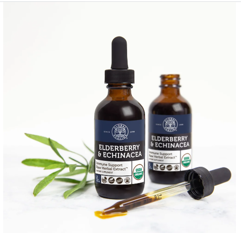 Mối liên hệ mật thiết giữa Elderberry - quả cơm cháy và hệ thống miễn dịch