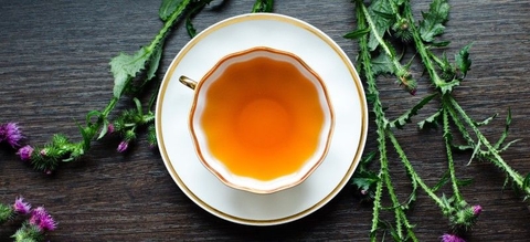 Cây kế sữa: Tốt cho gan hay có quá nhiều tác dụng phụ?