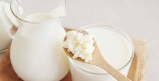 17 loại thực phẩm có lợi khuẩn tuyệt vời cho sức khỏe đường ruột tốt hơn