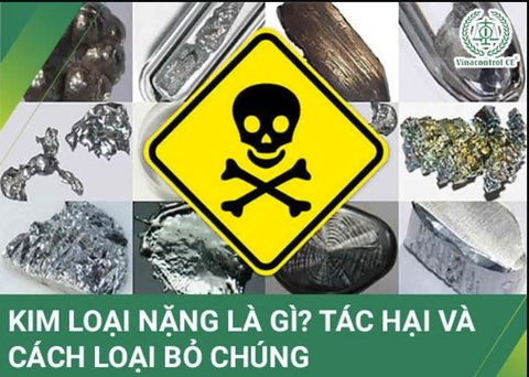 Tác hại của kim loại nặng với sức khỏe