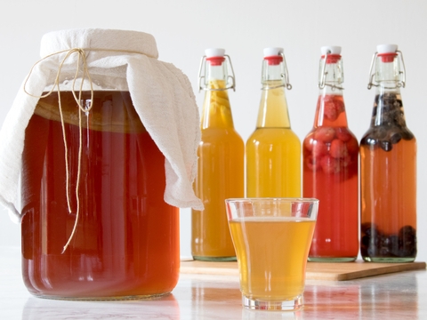 Cách làm kombucha cực dễ từ trà san tuyết hữu cơ