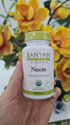 Neem thảo mộc như máy lọc máu mạnh mẽ