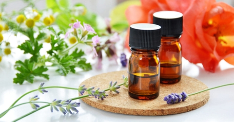 Tác dụng của tinh dầu bạc hà với sức khỏe