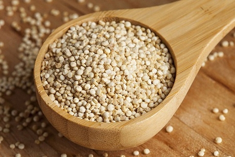 Quinoa là gì? Loại thực phẩm chứa protein hoàn chỉnh và lành mạnh nhất thế giới