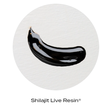 Nhựa Shilajit là gì, mua Shilajit tốt nhất ở đâu