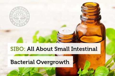 SIBO: Tất cả những gì bạn cần biết về sự phát triển quá mức của vi khuẩn đường ruột 