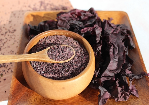 5 lý do bạn nên sử dụng tảo đỏ Dulse hàng ngày