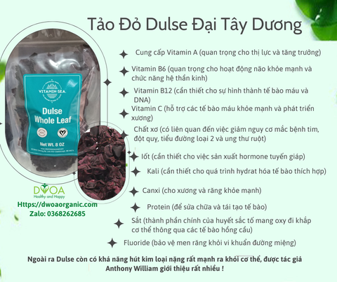 Tảo Dulse Đại Tây Dương Thực Phẩm Chữa Lành Cơ Thể