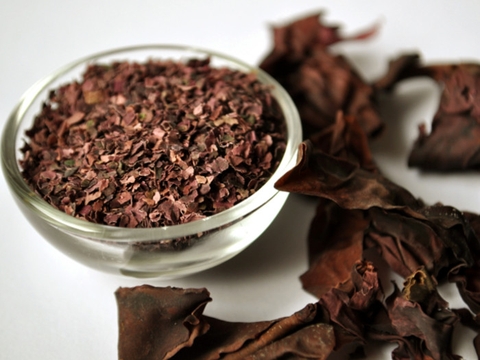 Dulse một loại rong biển  mang lại những lợi ích tuyệt vời cho sức khỏe