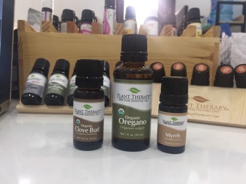 Top 3 loại tinh dầu khắc phục UTI tại nhà